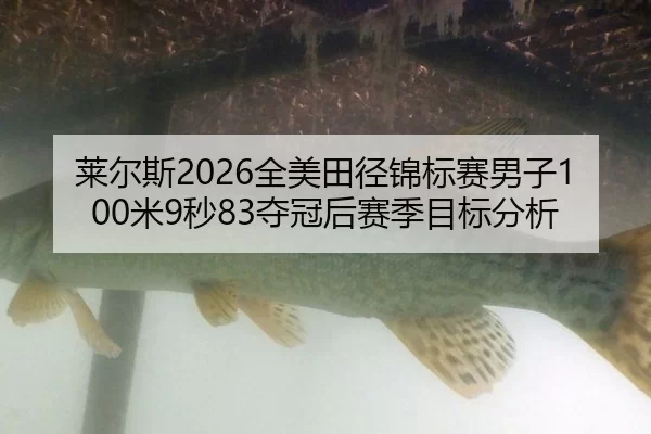 莱尔斯2026全美田径锦标赛男子100米9秒83夺冠后赛季目标分析